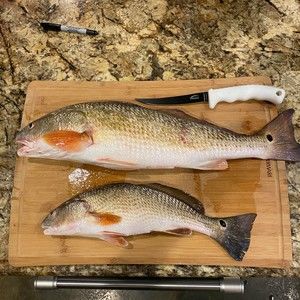 Meet your Posher, Monroe